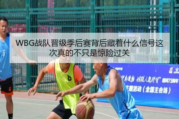 img_1781171063700_24_2_306.jpg